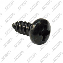VIS A TETE PLATE - 3.9 X 9.5 MM