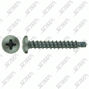 VIS NOIRE TETE LARGE AUTO FOREUSE - DIAM TETE : 8MM - 3MM X 12MM