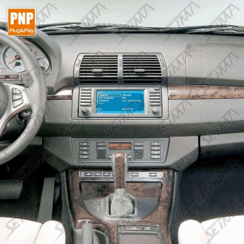 INTERFACE MULTIMEDIA - BMW SERIE 3 (E46)/SERIE 5 (E39)/X5 (E53) - ENTREE AUXILIAIRE SON - DVD