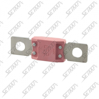 FUSIBLE MEGA SERIE 60 - 250A