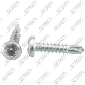 VIS NOIRE TETE LARGE AUTO FOREUSE - DIAM TETE : 8MM - 4.2MM X 19MM