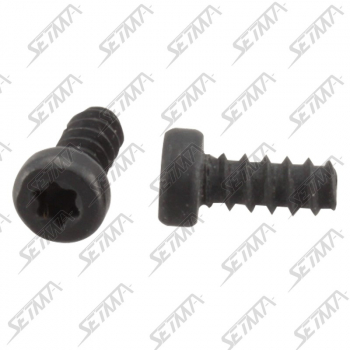 VIS TORX T7 X 8 MM