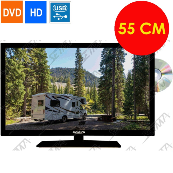 TELEVISEUR EMBARQUE 22 POUCES + DVD VESA 100