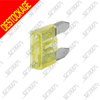 MICRO FUSIBLE ENFICHABLE - 20 A